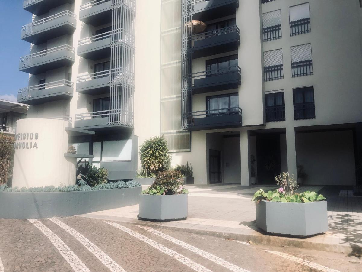 Blue River - Rua Dr Pita - Rooms Near Jardim Magnolia Funchal  Exterior photo